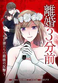 離婚３分前 ～サレ妻たちの最後の反撃～