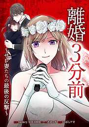 離婚３分前 ～サレ妻たちの最後の反撃～