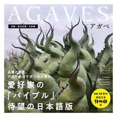AGAVES～アガベ～