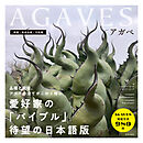 AGAVES～アガベ～