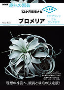 ブロメリア　エアプランツからタンクまで