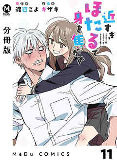【分冊版】近すぎほたるで身を焦がす 11