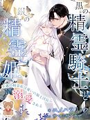 黒の精霊騎士と銀の精霊姫～不遇の精霊姫は憂いの騎士団長に溺愛される～