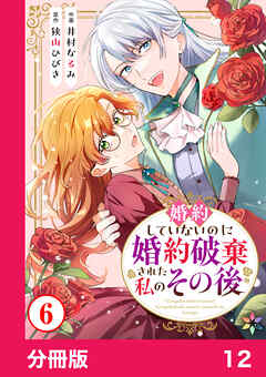 婚約していないのに婚約破棄された私のその後【分冊版】12