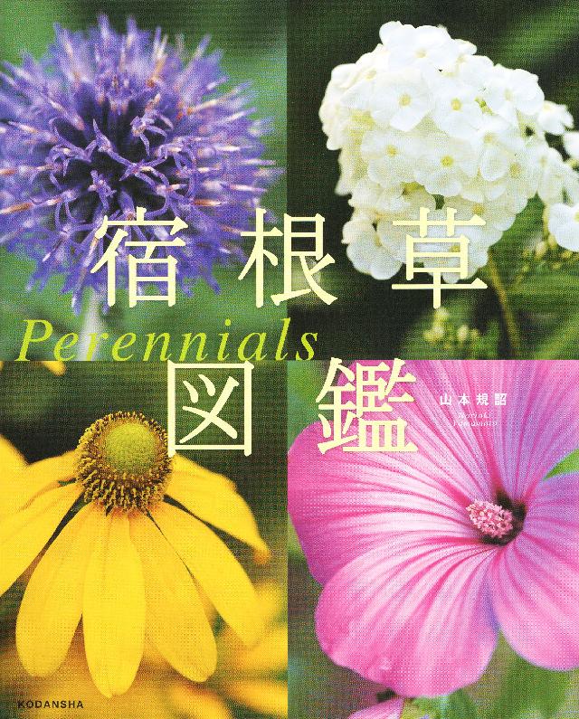 宿根草図鑑 ｐｅｒｅｎｎｉａｌｓ 漫画 無料試し読みなら 電子書籍ストア ブックライブ