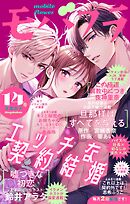 モバフラ 2025年14号