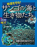 地球を守る！サンゴの海と生き物たち：温暖化を防ぐ海のオアシス