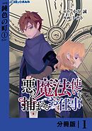 悪い魔法使いを捕まえるお仕事【分冊版】１