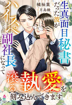 生真面目秘書だった彼がハイスぺ副社長になって滾る執愛を刻み込んできます