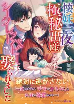 【期間限定　試し読み増量版】懐妊一夜で極秘出産したのに、シークレットベビーごと娶られました