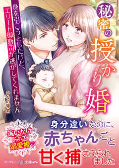 【期間限定　試し読み増量版】秘密の授かり婚～身を引こうとしたけど、エリート御曹司が逃がしてくれません～