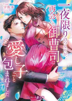 【期間限定　試し読み増量版】一夜限りのつもりが、再会した御曹司に愛し子ごと包まれました【電子限定SS付】