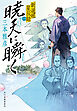 暁天に瞬く　新選組星辰録一