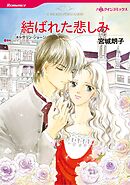 ハーレクインコミックス セット　2026年 vol.558