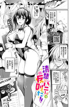 清楚×バニーは反則だ！！