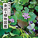 散歩が楽しくなる　身近な植物図鑑