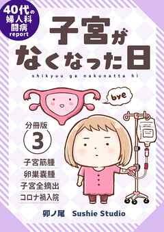 子宮がなくなった日【分冊版】 (3)