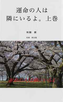 運命の人は隣にいるよ。上巻