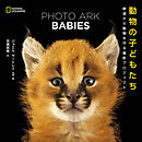 PHOTO ARK BABIES 動物の子どもたち 絶滅から動物を守る撮影プロジェクト