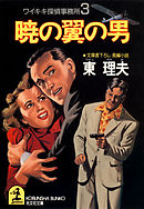 暁の翼の男～ワイキキ探偵事務所３～