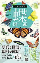 日本と世界の蝶図鑑