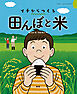 田んぼと米