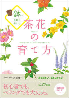 鉢で手軽に楽しむ　茶花の育て方