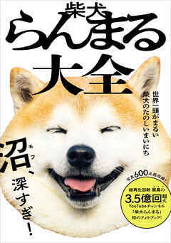 柴犬らんまる大全 - 世界一頭がまるい柴犬のたのしいまいにち -