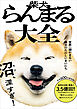 柴犬らんまる大全 - 世界一頭がまるい柴犬のたのしいまいにち -