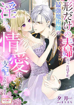 形だけの夫婦だったはずが、最強魔術師の淫らな情愛に支配されています