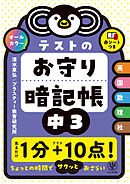 テストのお守り暗記帳　中３