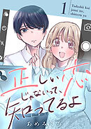 正しい恋じゃないって、知ってるよ【単行本版描き下ろし漫画付き】 1巻