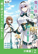 魔王様は回復魔術を極めたい【分冊版】2