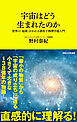 宇宙はどう生まれたのか　世界の「起源」がわかる素粒子物理学超入門（マガジンハウス新書）