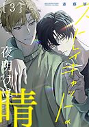 【分冊版】ストレイキャットの夜明けは晴 3.