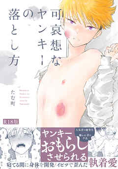 可哀想なヤンキーの落とし方《R18版》