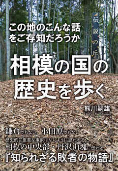 相模の国の歴史を歩く
