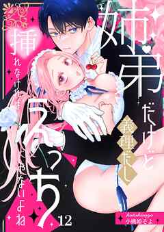 姉弟だけど義理だし挿れなければえっちじゃないよね【単話版】 （１２）