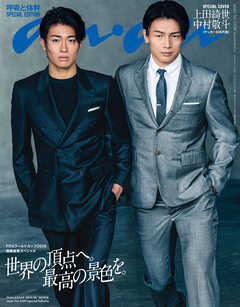 anan No.2499 Special Edition