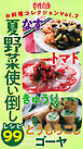 夏野菜使い倒しレシピ99