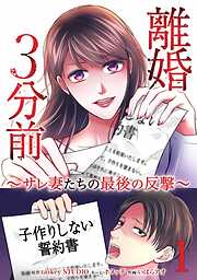 離婚３分前 ～サレ妻たちの最後の反撃～【単行本版】