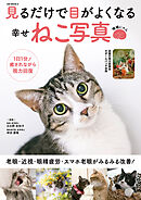 見るだけで目がよくなる幸せねこ写真 増補にゃん