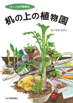 机の上の植物園
