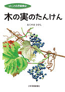 木の実のたんけん
