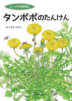 タンポポのたんけん