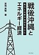 戦後沖縄とエネルギー経済――電力と尖閣沖油田を中心に――