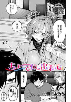 ちょっとした出来心