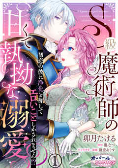 S級魔術師の甘くて執拗な溺愛　初恋の彼に浄化と称してエロいことしかされません！？１