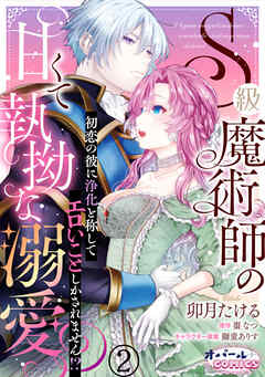 S級魔術師の甘くて執拗な溺愛　初恋の彼に浄化と称してエロいことしかされません！？２