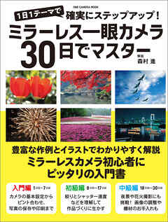 ミラーレス一眼カメラ30日でマスター